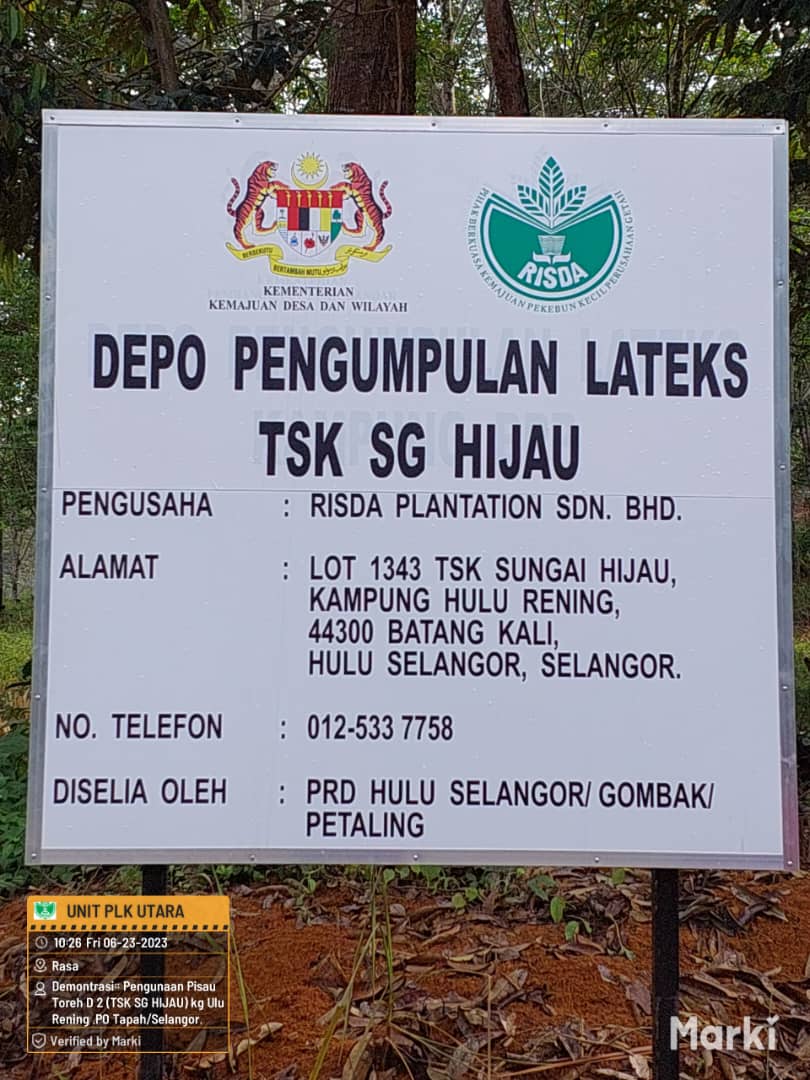 kelapa sawit122